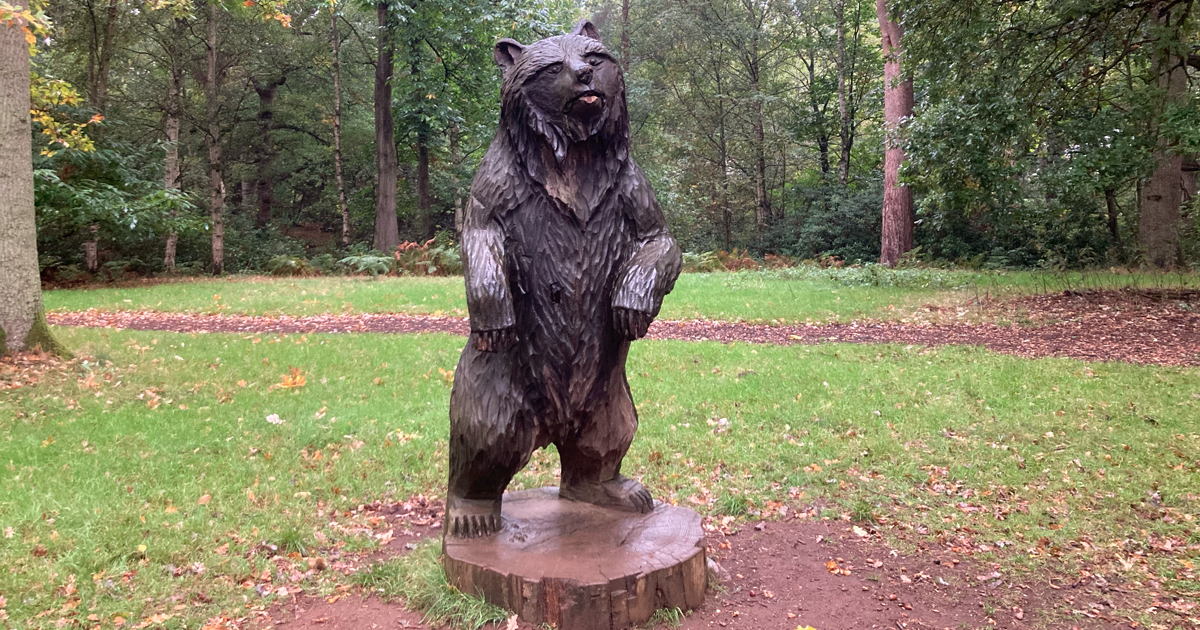 Bear web ud Bear web ud