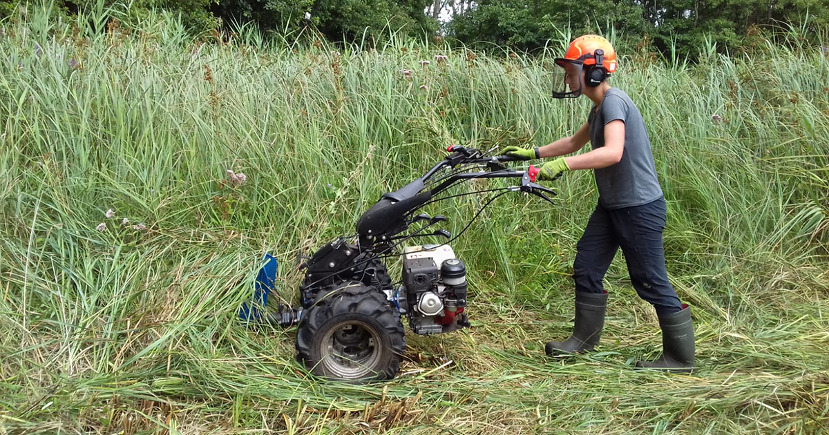Future Professionals scheme 202122 Ellie Stradling Fen Mowing credit NWT Future Professionals scheme 202122 Ellie Stradling Fen Mowing credit NWT