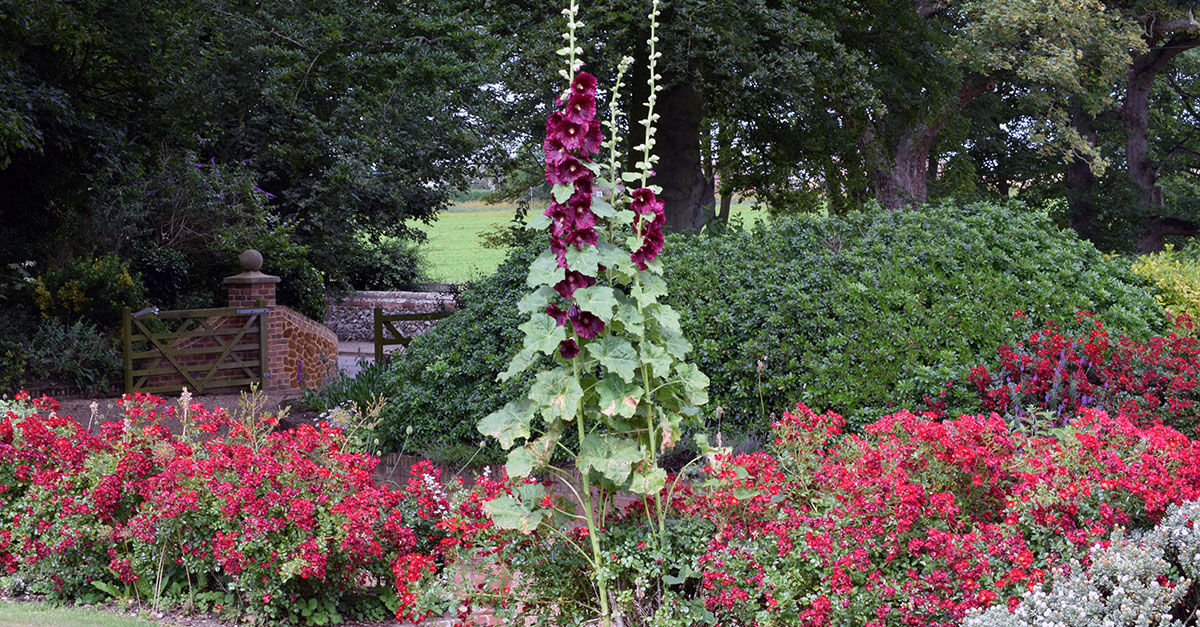 Gardens flars Gardens flars