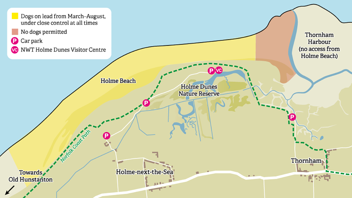 Holme Dog Map Holme Dog Map