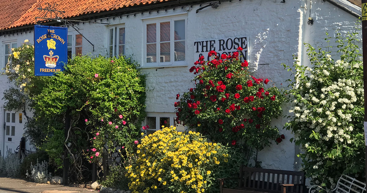Rose1