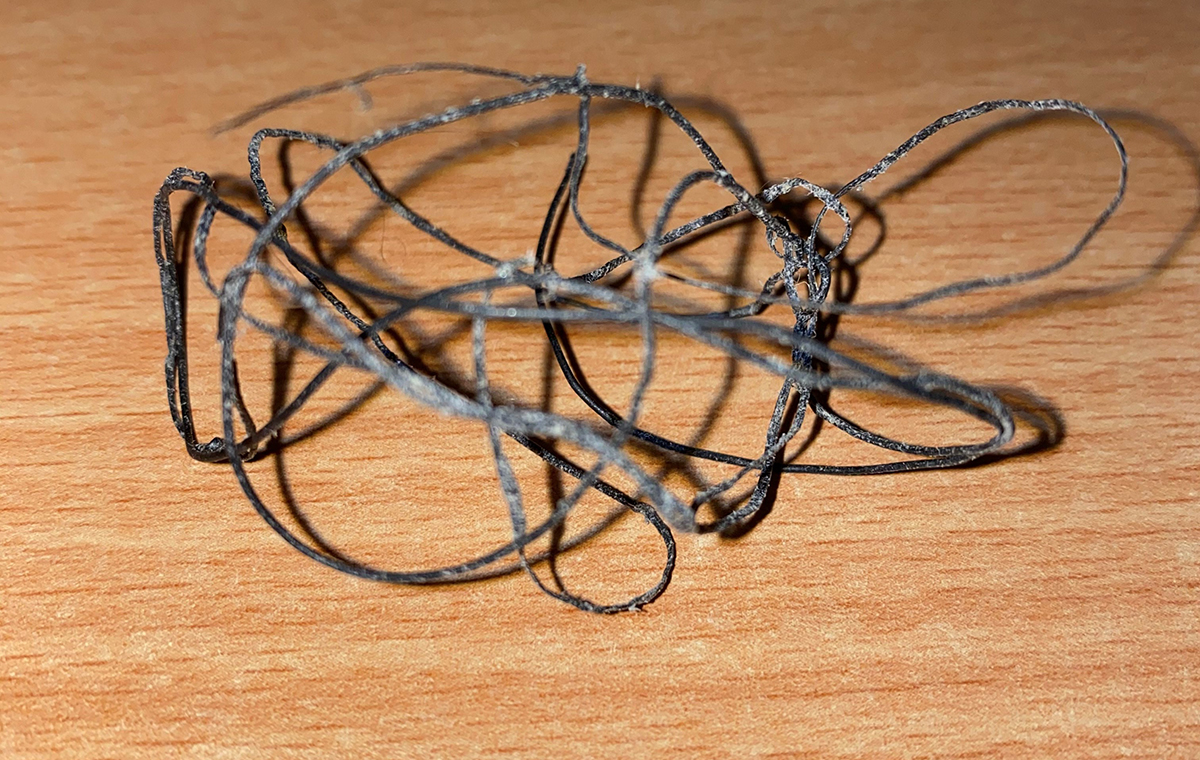 Web fishing net from seal stomach