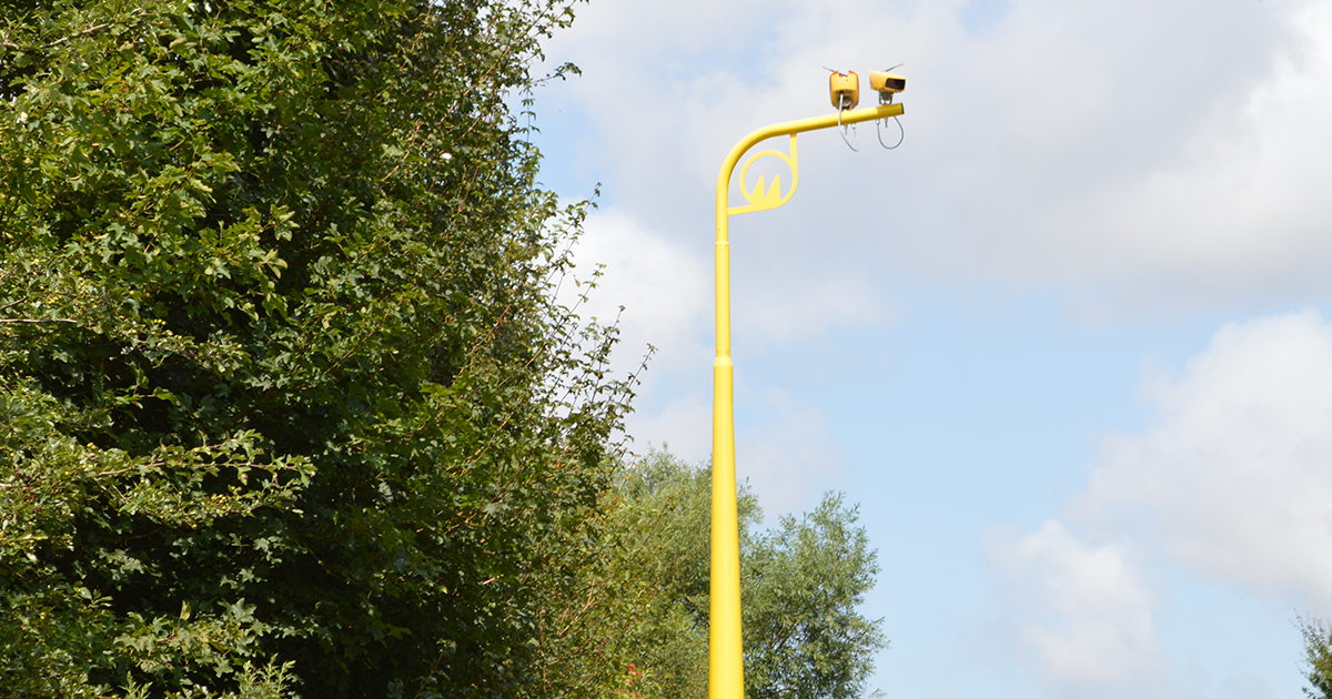 Web speed cameras