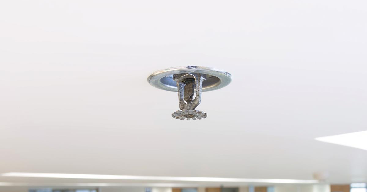 Web sprinkler Web sprinkler