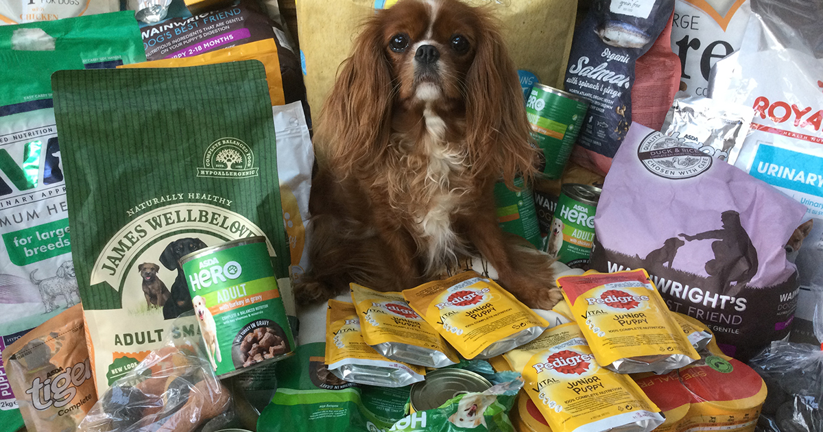 Web zsa zsa and food donations