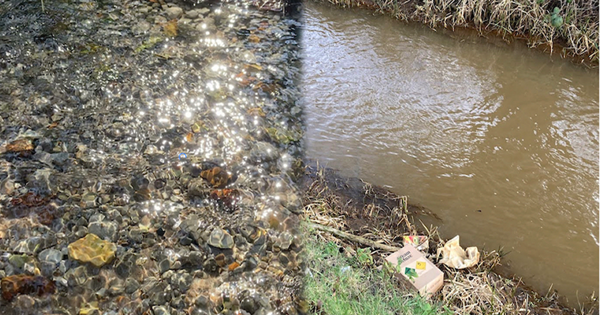 River gaywood web River gaywood web