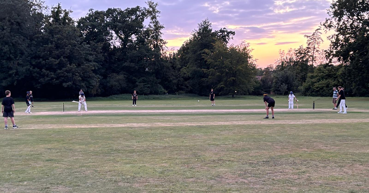 WEB jnr cricket play WEB jnr cricket play