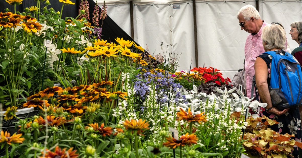 Sandringham flower show Sandringham flower show
