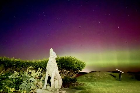 Northern Lights put on a spectacular show over Norfolk skies