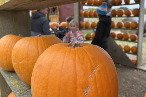 Have a fa-BOO-lous Halloween!